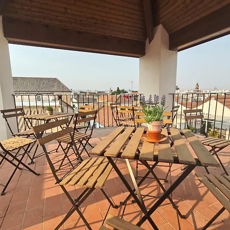 Duplex La Almazara En El Centro Histórico De Córdoba